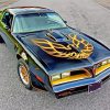 78 Firebird Trans am Diamond Painting