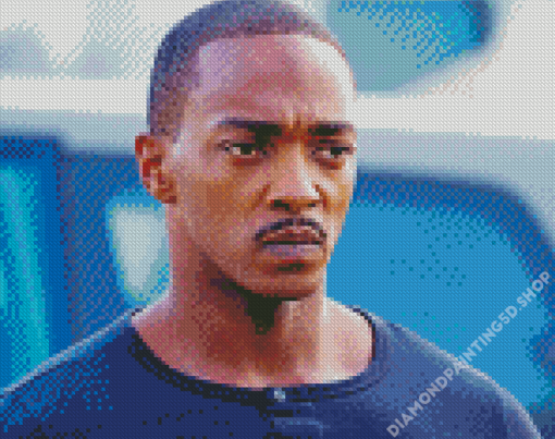 Actor Anthony Mackie Diamond Painting