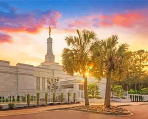 Aesthetic Columbia South Carolina Temple Diamond Painting