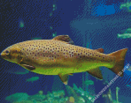 Brown Trout Diamond Painting
