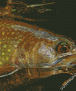 Brown Trout Fish Animal Diamond Painting