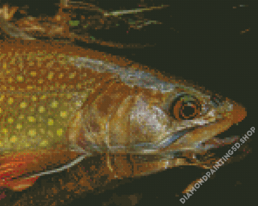 Brown Trout Fish Animal Diamond Painting