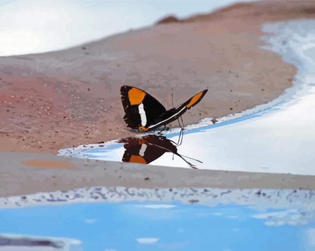 Butterfly With Water Diamond Painting 