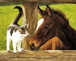 Cat And Horse Art Diamond Painting