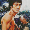 Enter The Dragon Character Art Diamond Painting