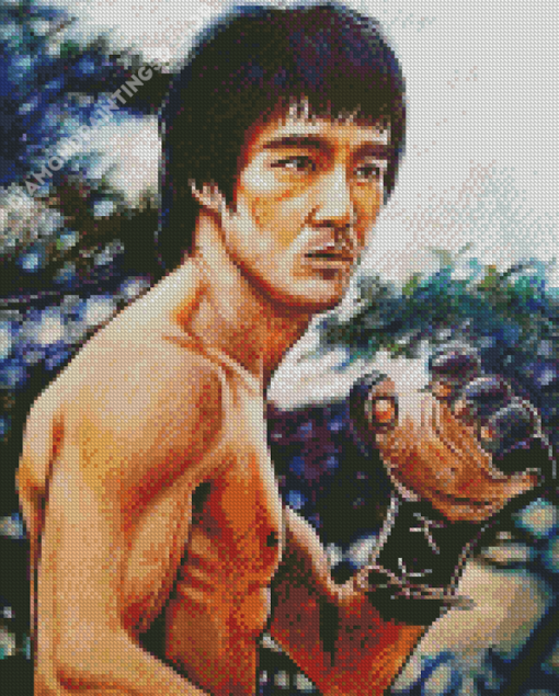 Enter The Dragon Character Art Diamond Painting