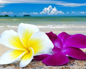 Flowers On Beach Diamond Painting