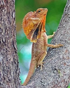 Frilled Dragon Diamond Painting