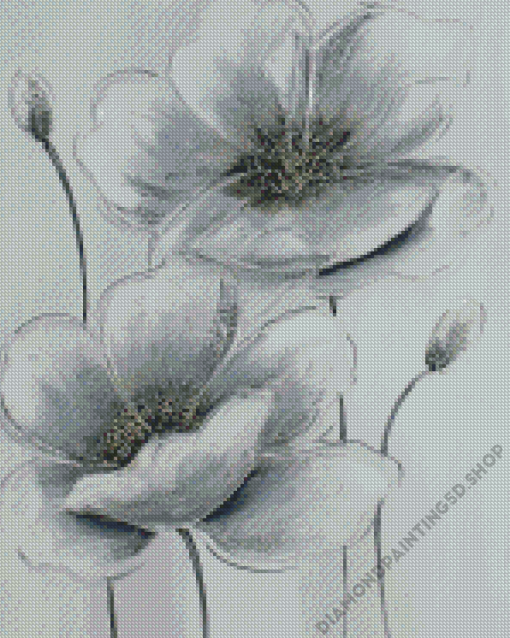 Grey And White Poppies Diamond Painting