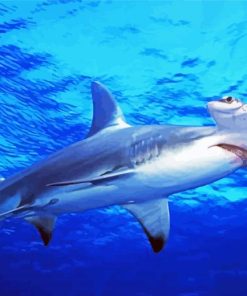 Hammerhead Shark Undersea Diamond Painting