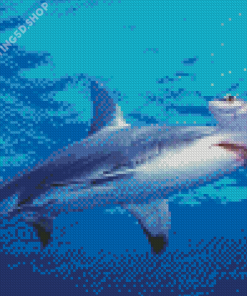 Hammerhead Shark Undersea Diamond Painting