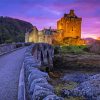 Road To Eilean Donan Castle At Sunset Diamond Painting