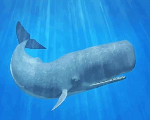 Sperm Whale Diamond Painting