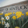 University of Kentucky Diamond Painting