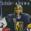 Vegas Golden Knights Hockey Team Player Diamond Painting