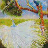 White Peacock And Colorful Peacock Diamond Painting