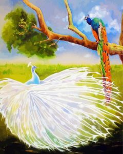 White Peacock And Colorful Peacock Diamond Painting