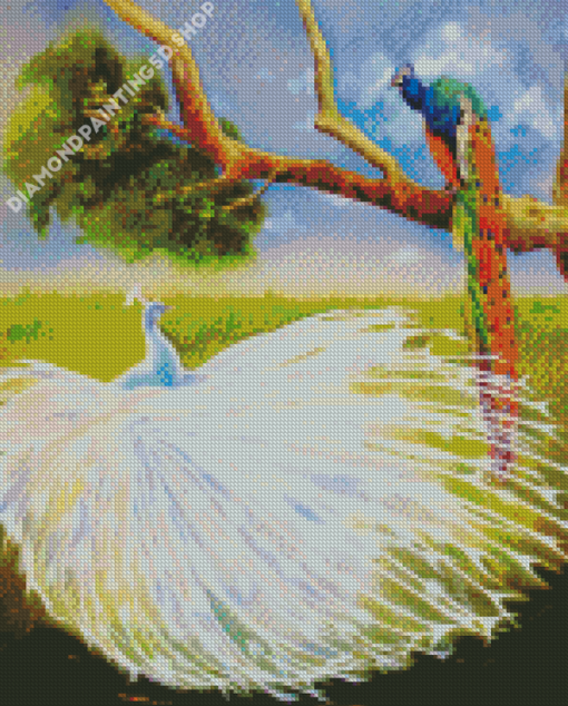 White Peacock And Colorful Peacock Diamond Painting