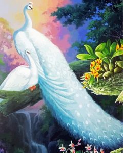 White Peacocks Birds Diamond Painting