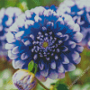 Aesthetic Blue Dahlia Diamond Painting