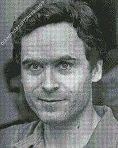 Aesthetic Ted Bundy Diamond Painting