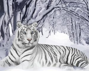 Aesthetic White Siberian Tiger Diamond Painting