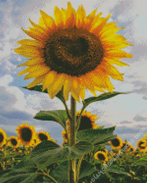 Beautiful Sunflower Heart Diamond Painting