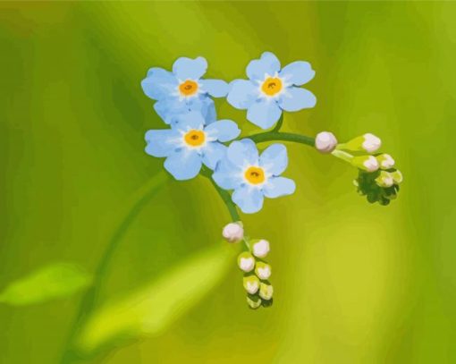 Beautiful Forget Me Not Diamond Painting