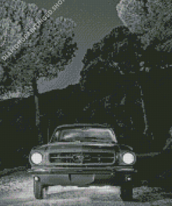 Black And White 64 ford Mustang Diamond Painting