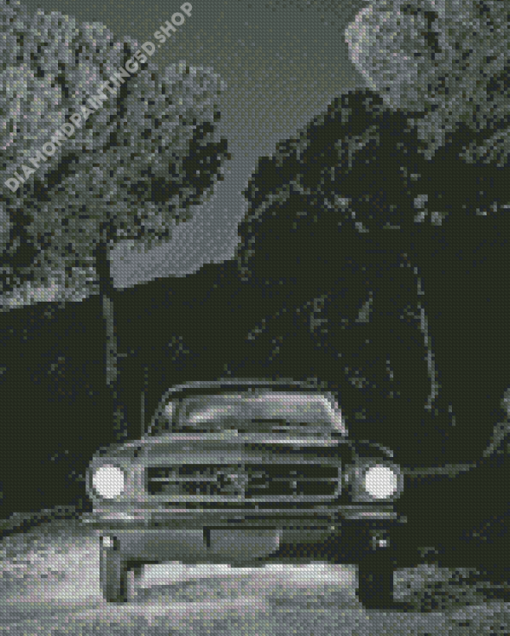 Black And White 64 ford Mustang Diamond Painting