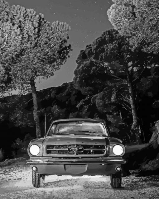 Black And White 64 ford Mustang Diamond Painting