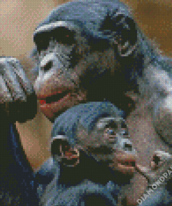 Bonobo Mother And Her Baby Diamond Painting
