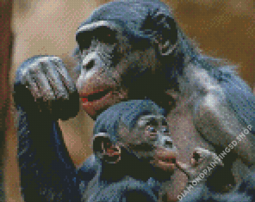 Bonobo Mother And Her Baby Diamond Painting