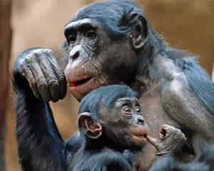 Bonobo Mother And Her Baby Diamond Painting