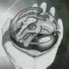 Circular Dragon Hand Art Diamond Painting