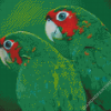 Green Cheeked Birds Diamond Painting