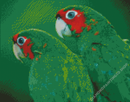 Green Cheeked Birds Diamond Painting