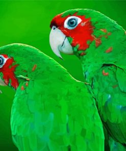 Green Cheeked Birds Diamond Painting