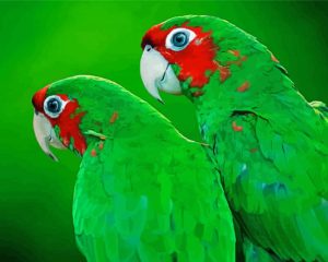 Green Cheeked Birds Diamond Painting