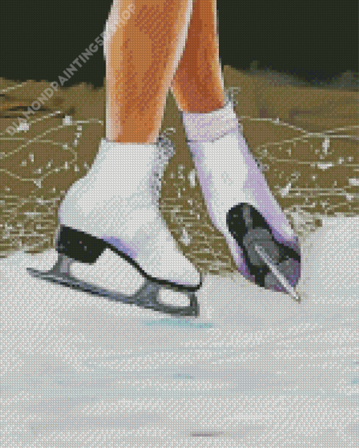 Ice Skating Leg Diamond Painting