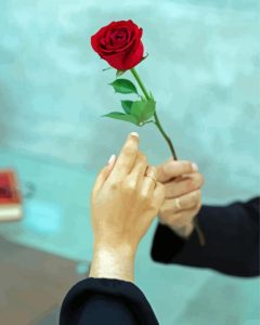 Man Giving A Rose Diamond Painting