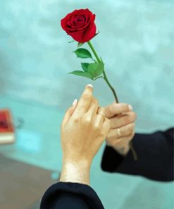 Man Giving A Rose Diamond Painting