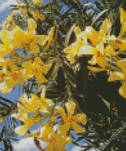 Yellow Flowering Oleander Plant Diamond Painting