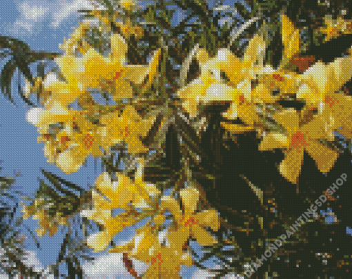 Yellow Flowering Oleander Plant Diamond Painting