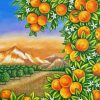 Aesthetic Orange Grove Art Diamond Painting