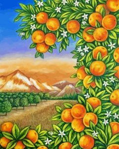 Aesthetic Orange Grove Art Diamond Painting