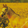 Aesthetic Yellow Horse Diamond Painting