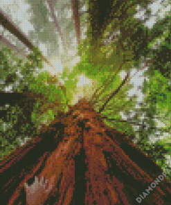 Aesthetic Giant Sequoia Diamond Painting