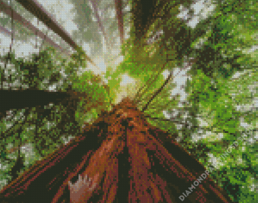 Aesthetic Giant Sequoia Diamond Painting