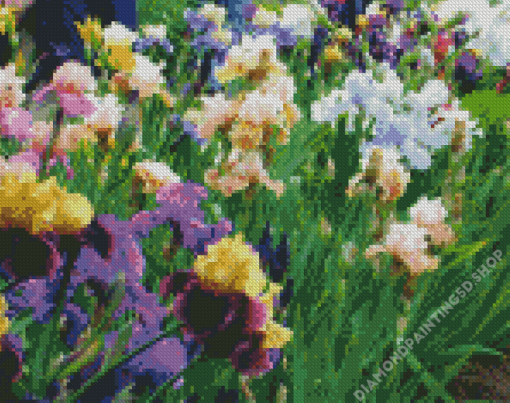 Aesthetic Iris Field Diamond Painting